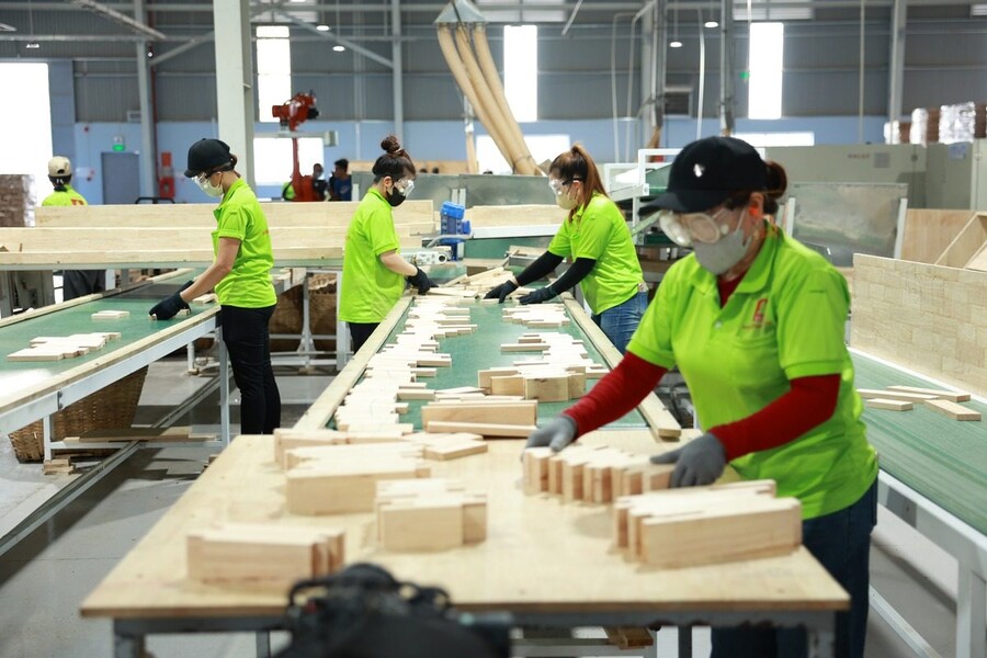 HUMAN CAPITAL